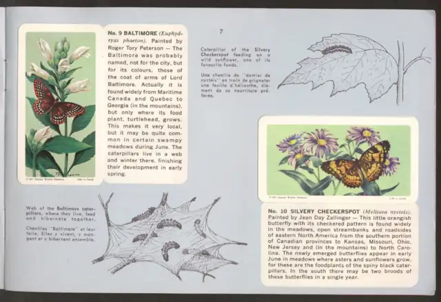 Brooke Bond Album Butterflies Of North America 1965 Red Rose Tea in Arts & Collectibles in Ottawa - Image 3