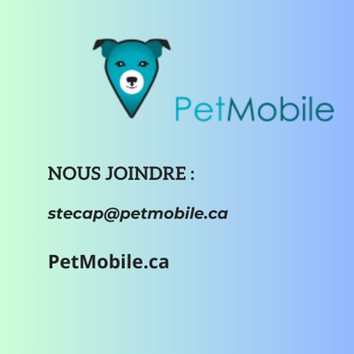  OPPORTUNITÉ D’AFFAIRES – FRANCHISE ANIMAUX (COWANSVILLE) , View more