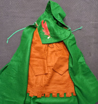 Costume d'halloween Robin Hood pour enfant