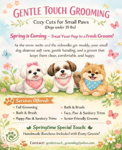 Gentle Touch Grooming -- spring appointments filling up fast, View more