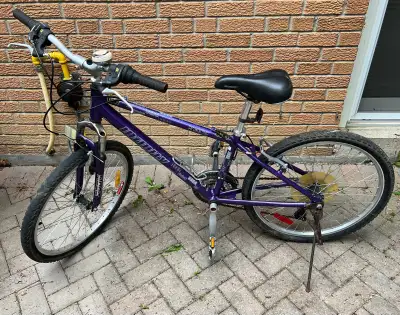 Bicycle - Infinity Breeze Purple Bike, View more