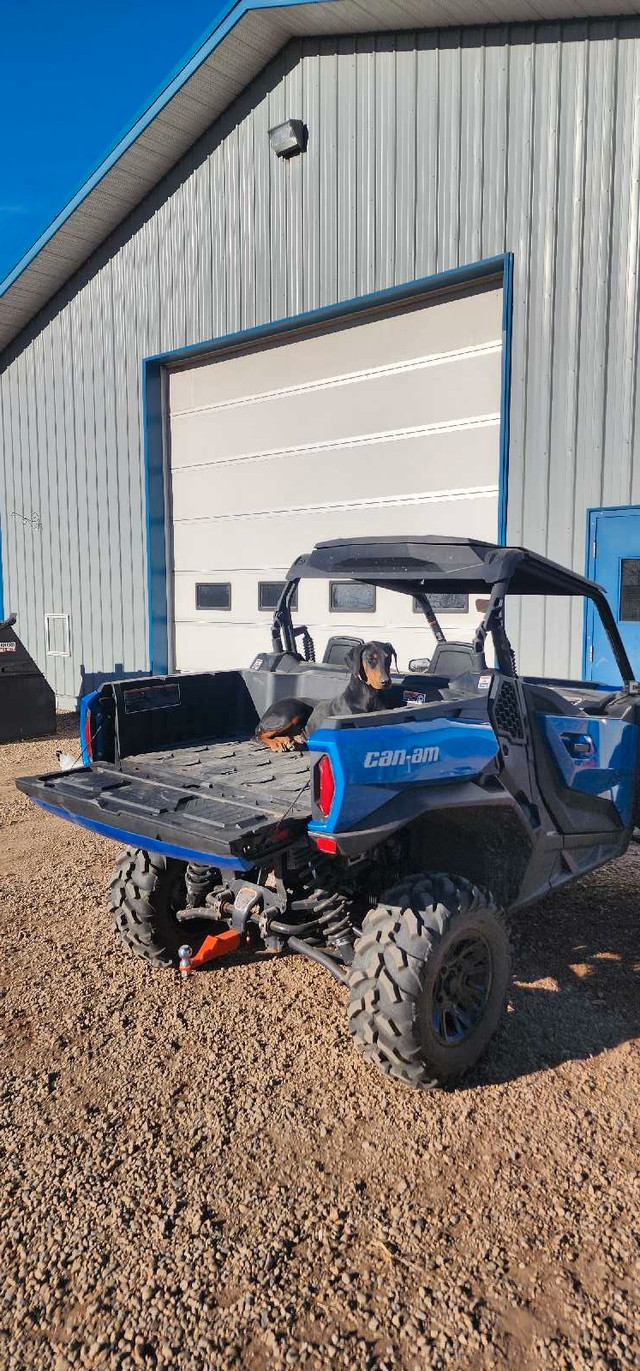 2023 Can Am Commander in ATVs in Calgary - Image 2