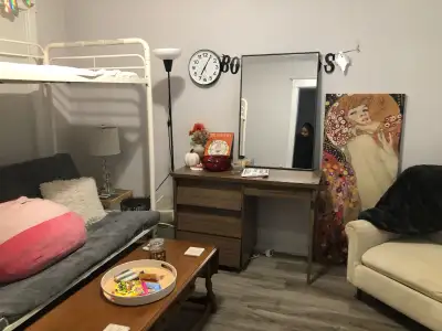 Sublet Furnished Rent 1-bedroom separate entrance in Kingston