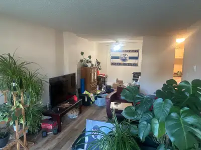 roommate req. 1100 sq feet west