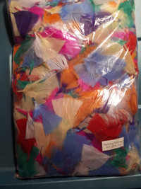 Bag of multicoloured feathers for crafting