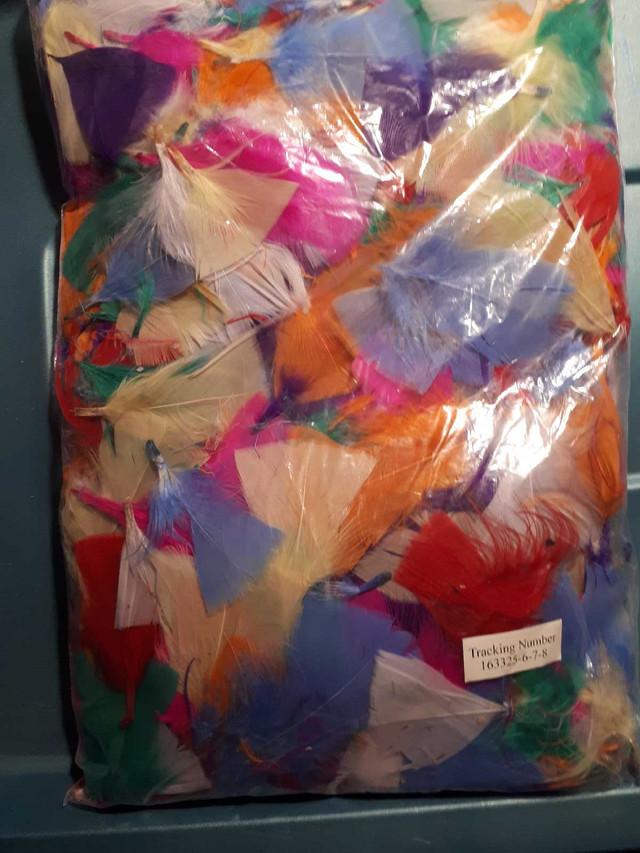 Bag of multicoloured feathers for crafting in Hobbies & Crafts in Gatineau