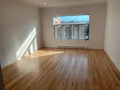 LARGE BRIGHT 5½, 2 BEDROOM APT. PARK AVENUE MILE-END/PLATEAU