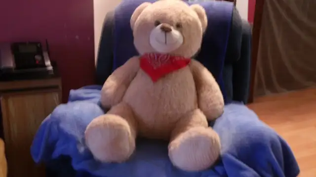 Plush Bear64840212420482120