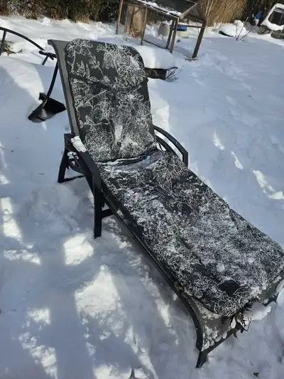 Chaise longue extérieur avec coussin, View more