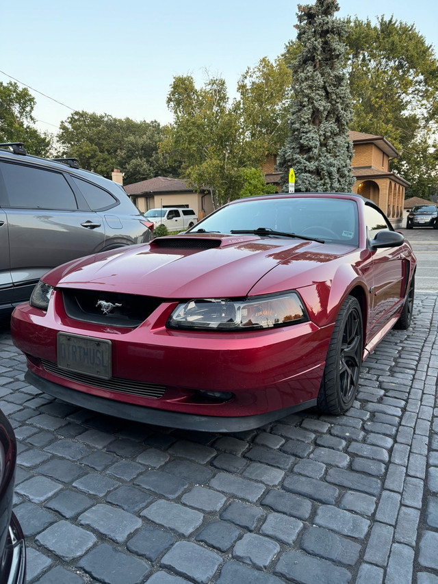 Mustang for sale  in Cars & Trucks in Mississauga / Peel Region - Image 2