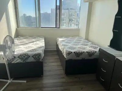 Big room double or shared Bright & spacious with large window and closet Bathroom Full furnished, 2...