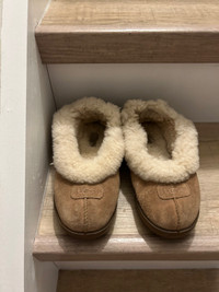 Ugg slippers. 