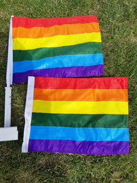 Pride Rainbow flags. Car flags. Party decorations