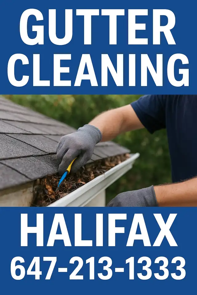 gutter cleaning64656287078401120