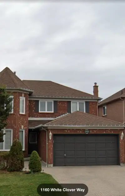 Basment For Rent