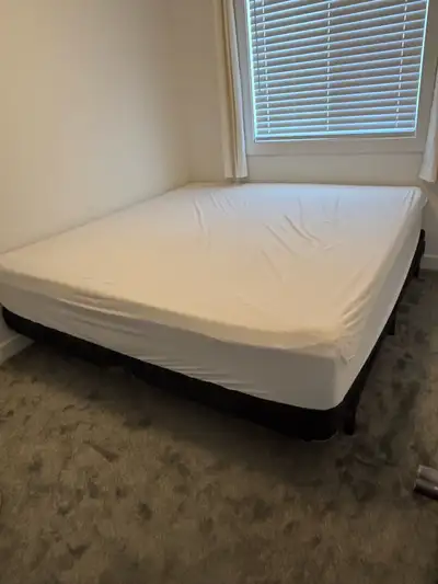 King Size Mattress (2021) + Box Springs + Foldable Bed Frame, View more