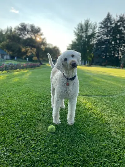 - This rental is for ONE person only - No lease - Available January 1st 2026 (not sooner) - Minimum...