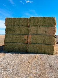 Quality Horse Hay