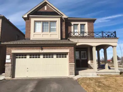 Aug 1, 1BR + 1 den basement. Brampton. Steeles & Mississauga Rd