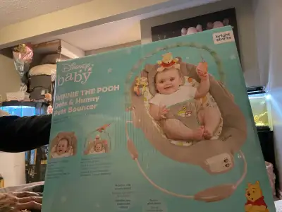 winnie the pooh bouncer , View more