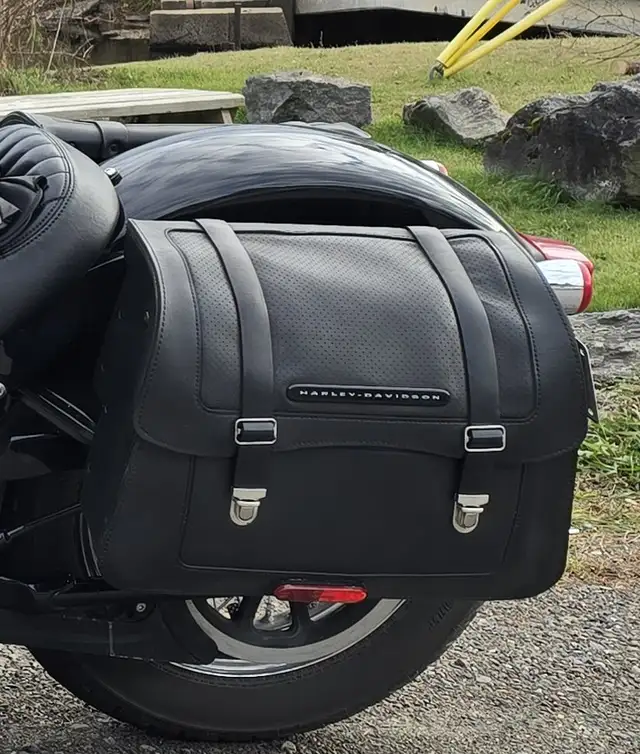 Sacoches H-D Détachables pour model FXST 2021 in Touring in Laval / North Shore - Image 10