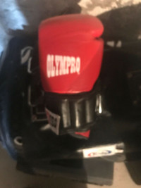 Olympro Heavy Weighted Boxing Gloves 
