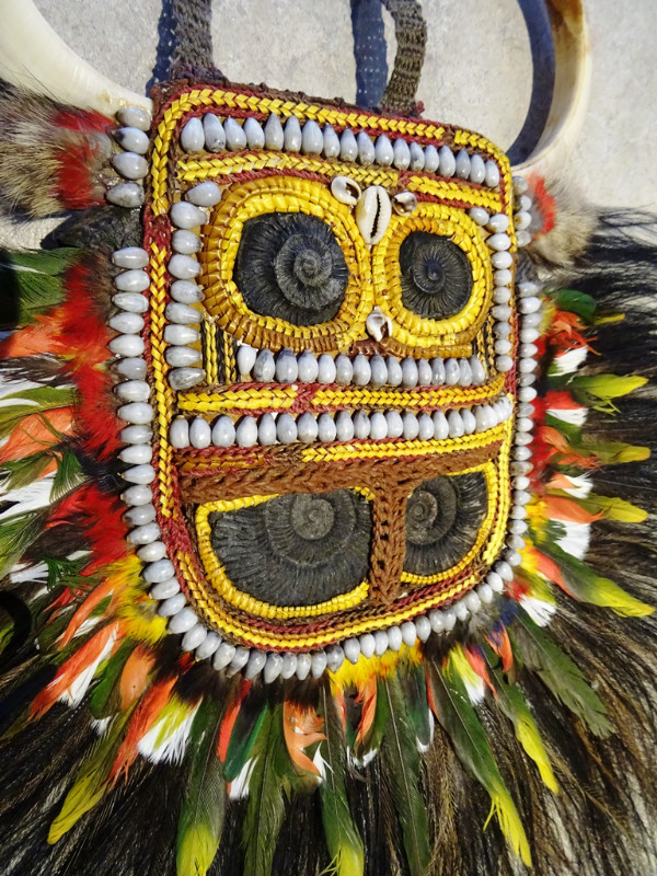 unique TRIBAL ART breastplate HORNS shells FEATHERS Papua in Arts & Collectibles in Cambridge