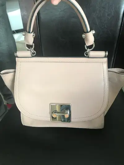 Celine Dion purse, View more