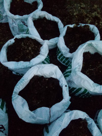 Bagged Aged Manure for Fertilizing Gardens