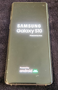 Samsung S10 cell phone