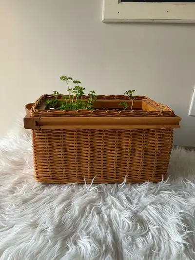 Vintage Wicker Basket/Plant Holder, View more