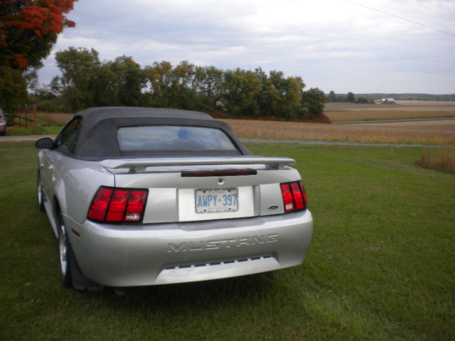 2004 Ford Mustang convertible/ 2004 Ford Mustang décapotable in Cars & Trucks in Cornwall - Image 3