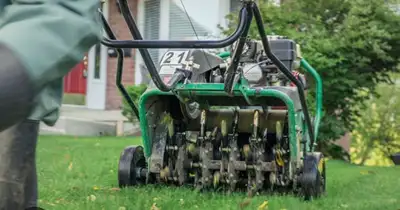 lawn aeration and spring cleanup , View more