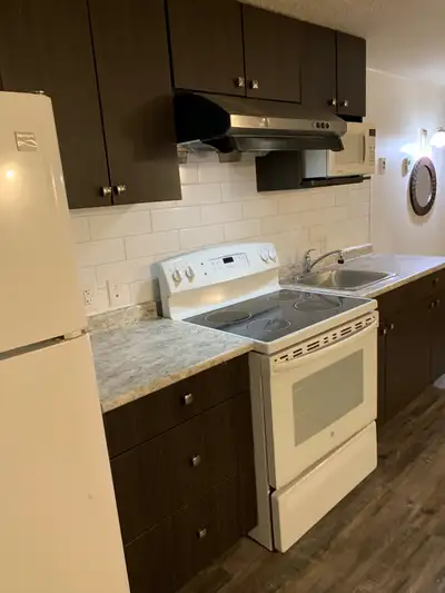 Furnished one bedroom in a 2 bedrooms basement suite available now. Sure washroom and kitchen area....