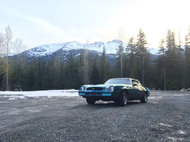 1980 Chevrolet Camaro in Classic Cars in Downtown-West End - Image 2