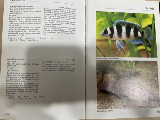 AQUARIUM ATLAS in Hobbies & Crafts in Laval / North Shore - Image 8