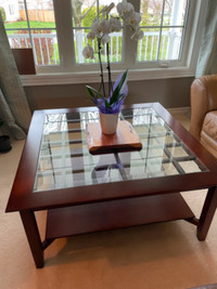 Wood/glass coffee table
