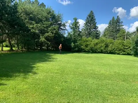 Gorgeous Lot Charlton Ontario, Option to Finance by owner in Land for Sale in Sudbury - Image 3