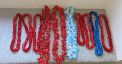 10 Party Leis (Blue and Red), View more