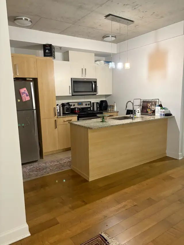 Lease transfer condo 1bed room 3 1/2 in Long Term Rentals in City of Montréal - Image 5