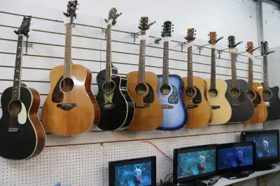 Acoustic, Bass & Electric Guitars – Premium Brands, Great Value!, View more