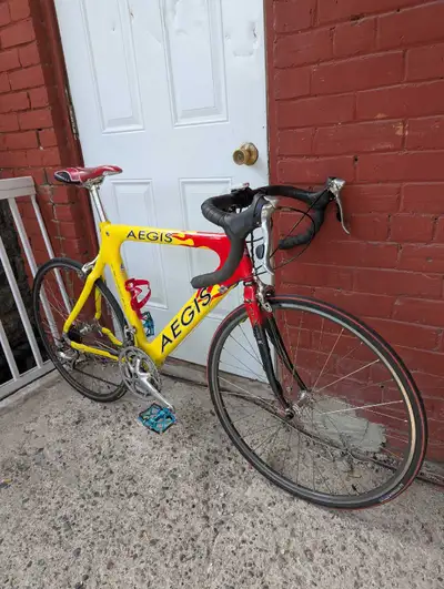 Aegis Trident carbon Road Bike, View more