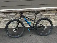 Giant talon bike