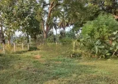 I know this is a long shot, but it's worth trying. It would only be for a few years until mom passes...