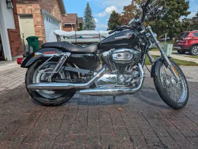 2008 Harley Davidson Sportster 1200 Custom. Always stored inside. Low km's.
