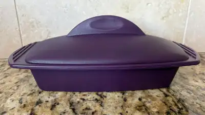 Very good condition Epicure rectangular steamer. Smoke free home. Pick up North Kildonan