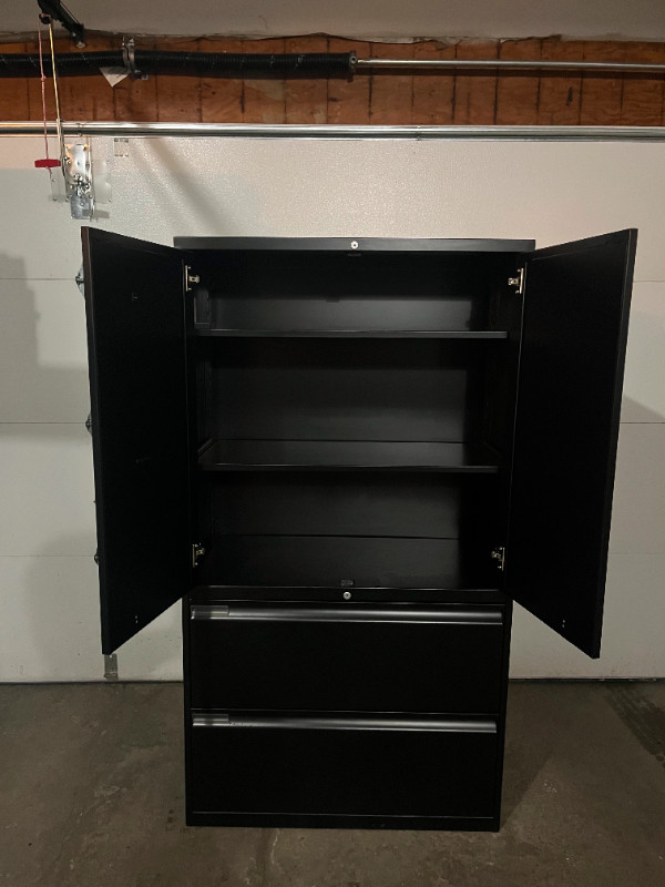 Teknion 2Door / 2Drawer Combo File / Filing Storage