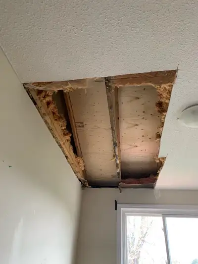 Drywall Repairs, Patch Damage Hole, Water Leak, Popcorn Repairs, View more