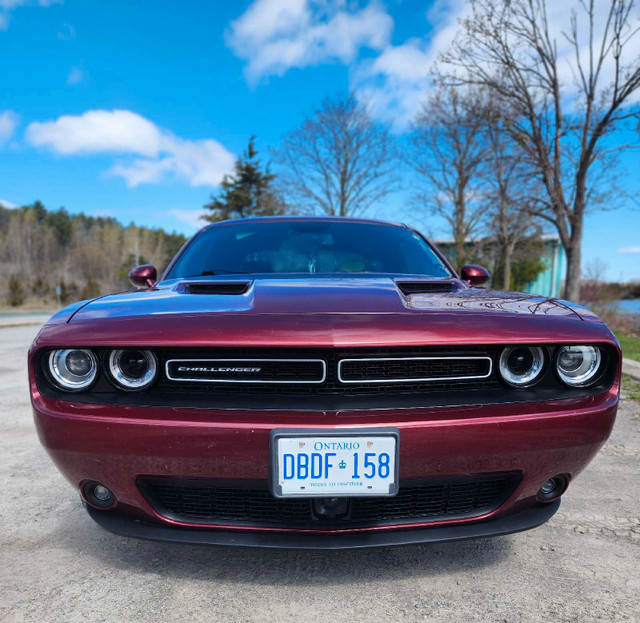 2020 Dodge Challenger only 42,000 km Fully loaded with Warranty  in Cars & Trucks in Trenton - Image 4