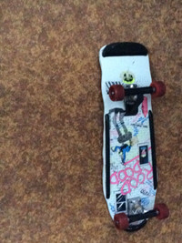 Planche à roulettes. Skateboard